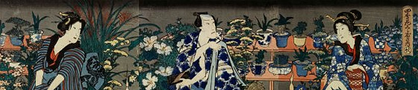bonsai history
