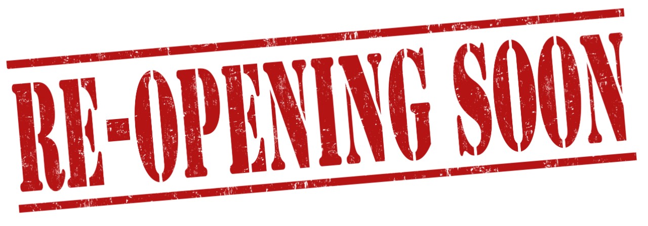australian bonsai gallery opening soon