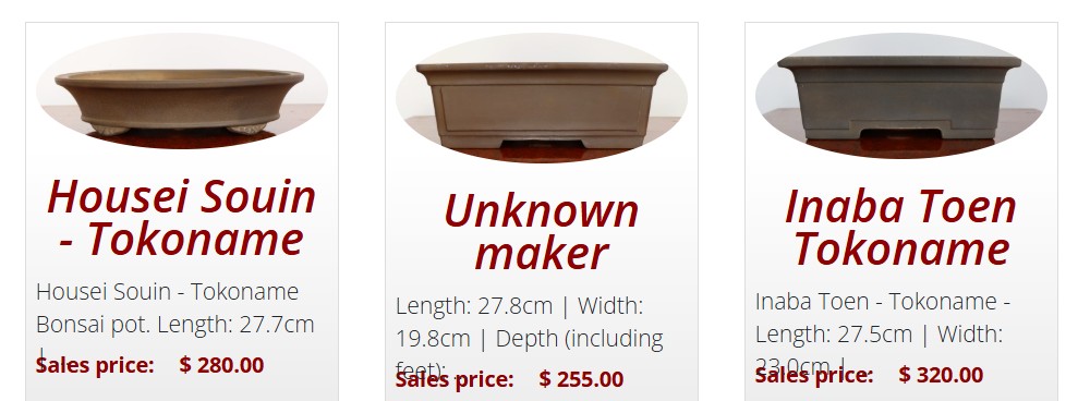 bonsai pots for sale now