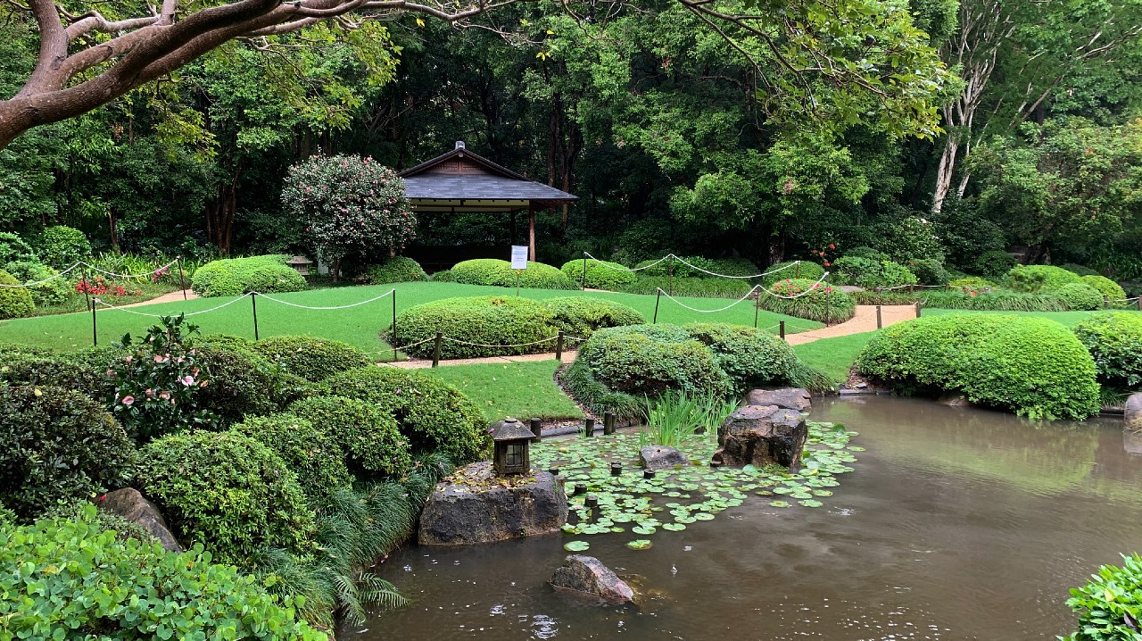 Australian Bonsai Gallery Mount Coot Tha Botanic Gardens New Bonsai House
